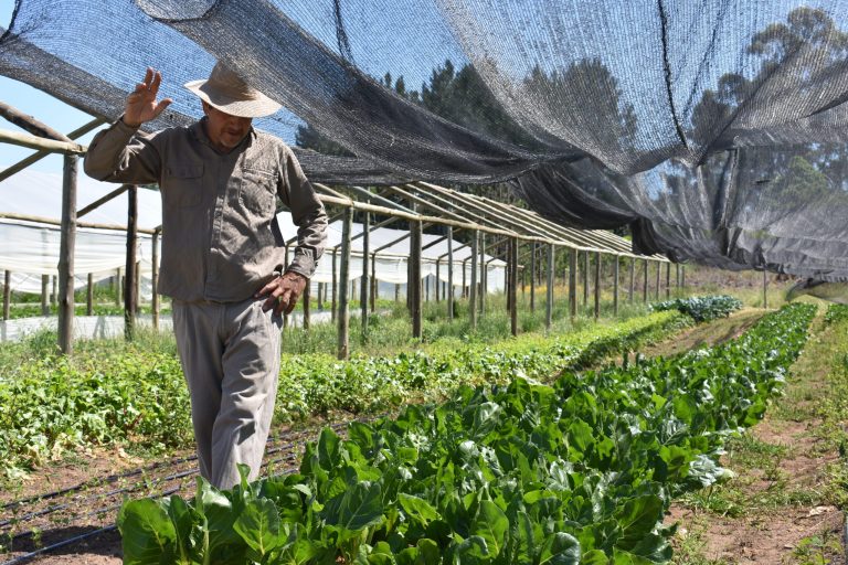 Se realizó el taller sobre desafíos y realidades de la agroecología