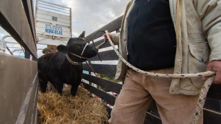Para el Gobierno, la protesta que realiza la Mesa de Enlace “no conduce a nada”