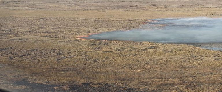 Instalan operativo en San Nicolás para combatir los focos de incendios detectados en islas