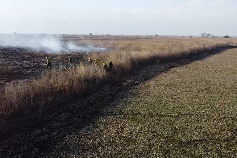 Siguen los trabajos de combate de incendios en islas Lechiguanas