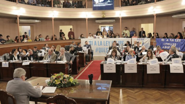 Diputados le dio media sanción a la “Ley Felipe”