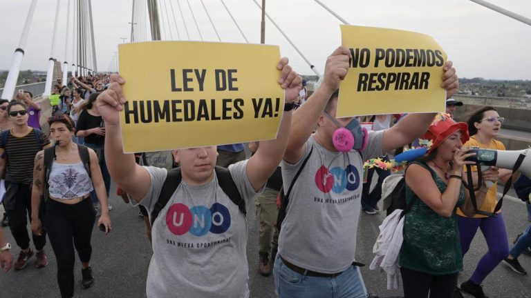 La ley de Humedales se trata en Diputados