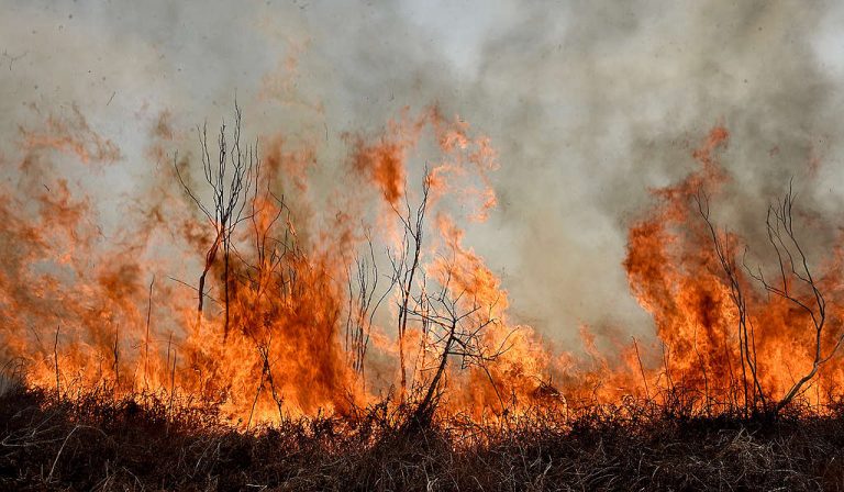 La Justicia avanza en la investigación sobre los dueños de las tierras quemadas del Delta