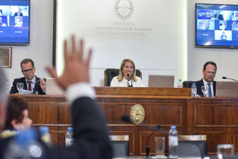 El Senado aprobó la modificación de la Ley de Economía Social y la creación del Régimen de Microcréditos