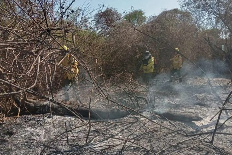 No hay actividad ígnea en el territorio provincial