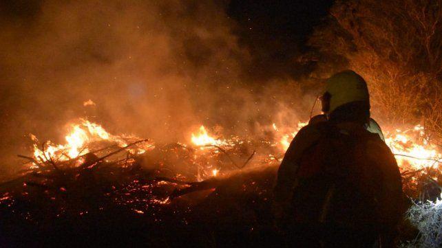 Brigadistas de Entre Ríos y Buenos Aires, con apoyo de Nación, combaten incendios al sur de las islas del Delta