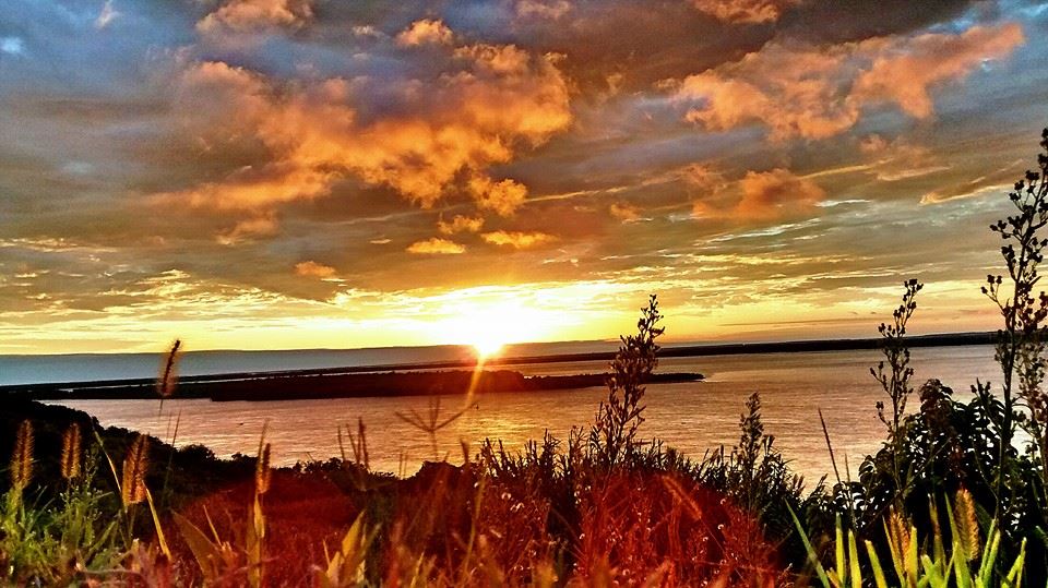 Piden reconocer los derechos de la naturaleza en Entre Ríos