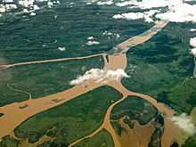 El borde costero del Delta del Paraná sin focos de incendios