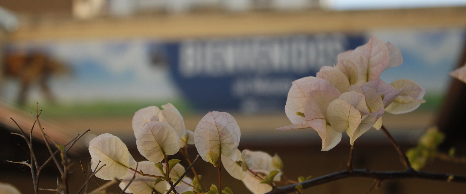 Hasta finales de mayo se encuentra abierta la Convocatoria al Premio Literario Fray Mocho