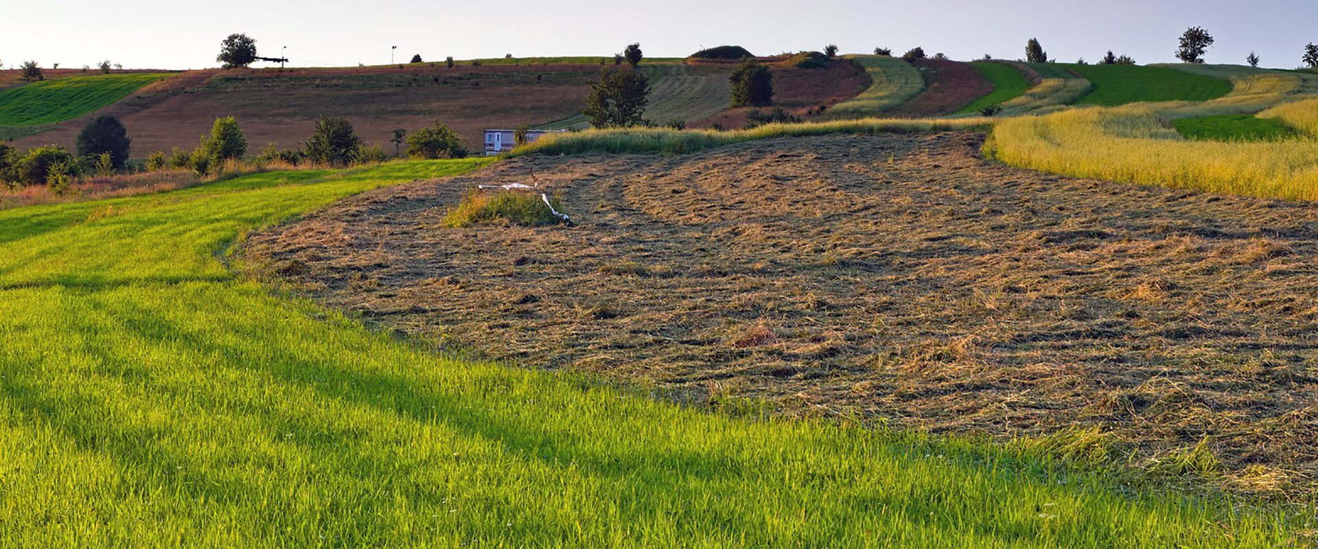 Conservar el suelo es política de Estado en Entre Ríos