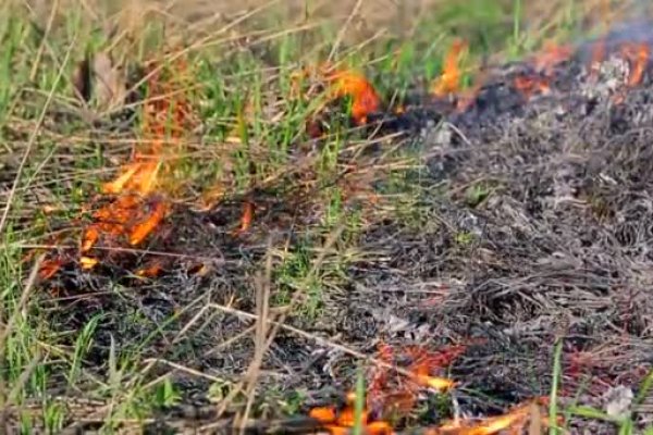 Los peligros de quemar pastizales