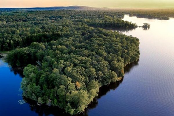 Sigue bajando la deforestación amazónica en Brasil