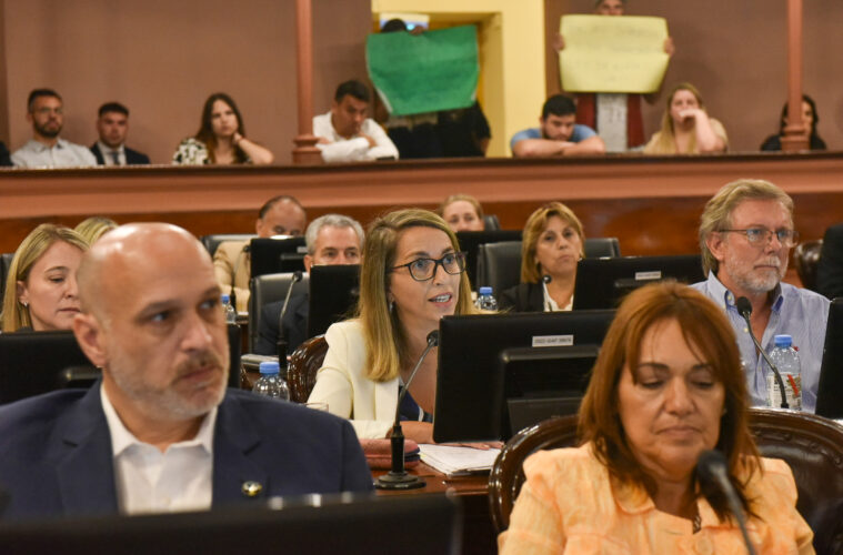 Diputados de Más para Entre Ríos consideraron que el DNU de Milei es inconstitucional