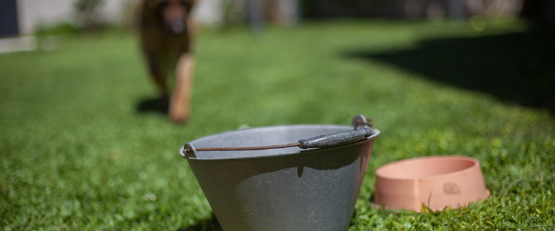 Siguen en aumento los casos de dengue y Covid-19