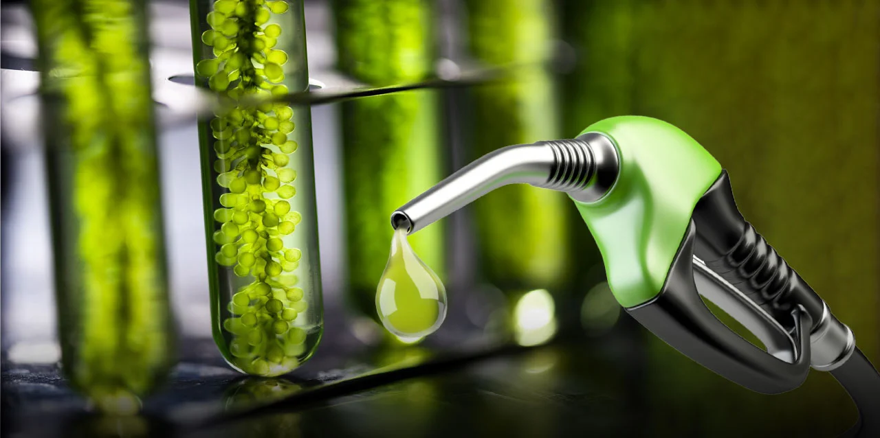Fijan nuevos precios de los biocombustibles para su mezcla con naftas y gasoil