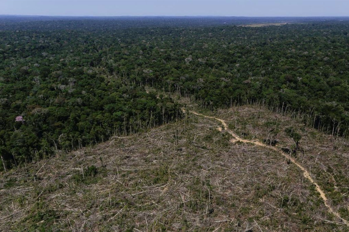 Brasil perdió el 33% de las áreas naturales de su territorio