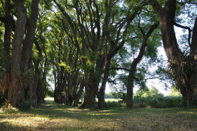 Entre Ríos amplía y fortalece su Sistema de Áreas Naturales Protegidas incorporando dos nuevas reservas
