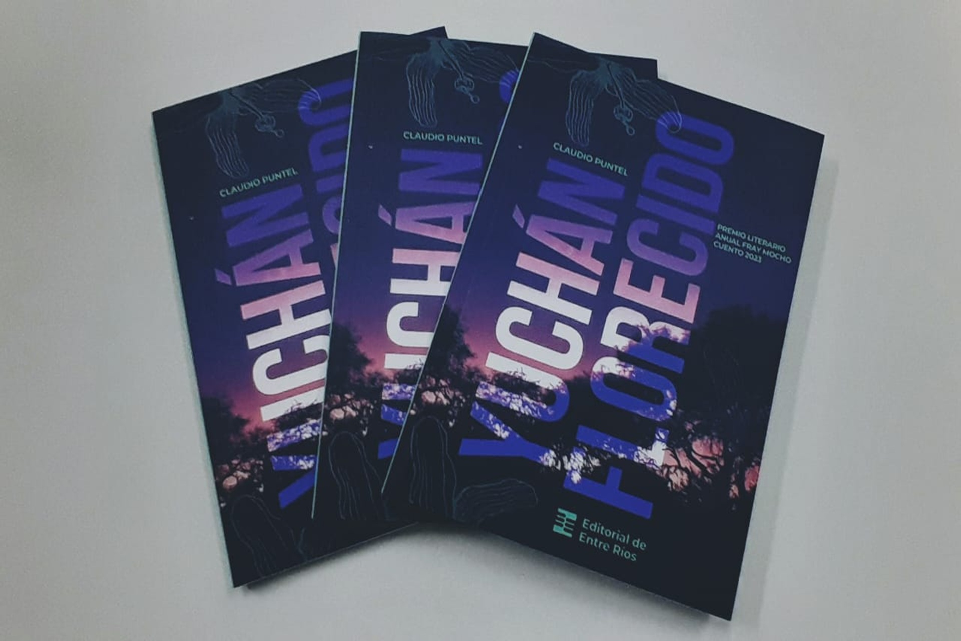 Invitan a la presentación del premio literario Fray Mocho Cuento Inédito