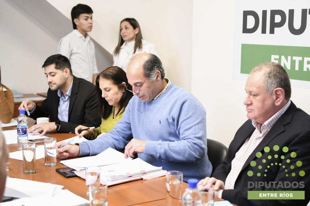 Avanzó en Diputados el proyecto que propone apoyar a jóvenes emprendedores entrerrianos